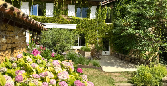 Votre guide offert ⬇️