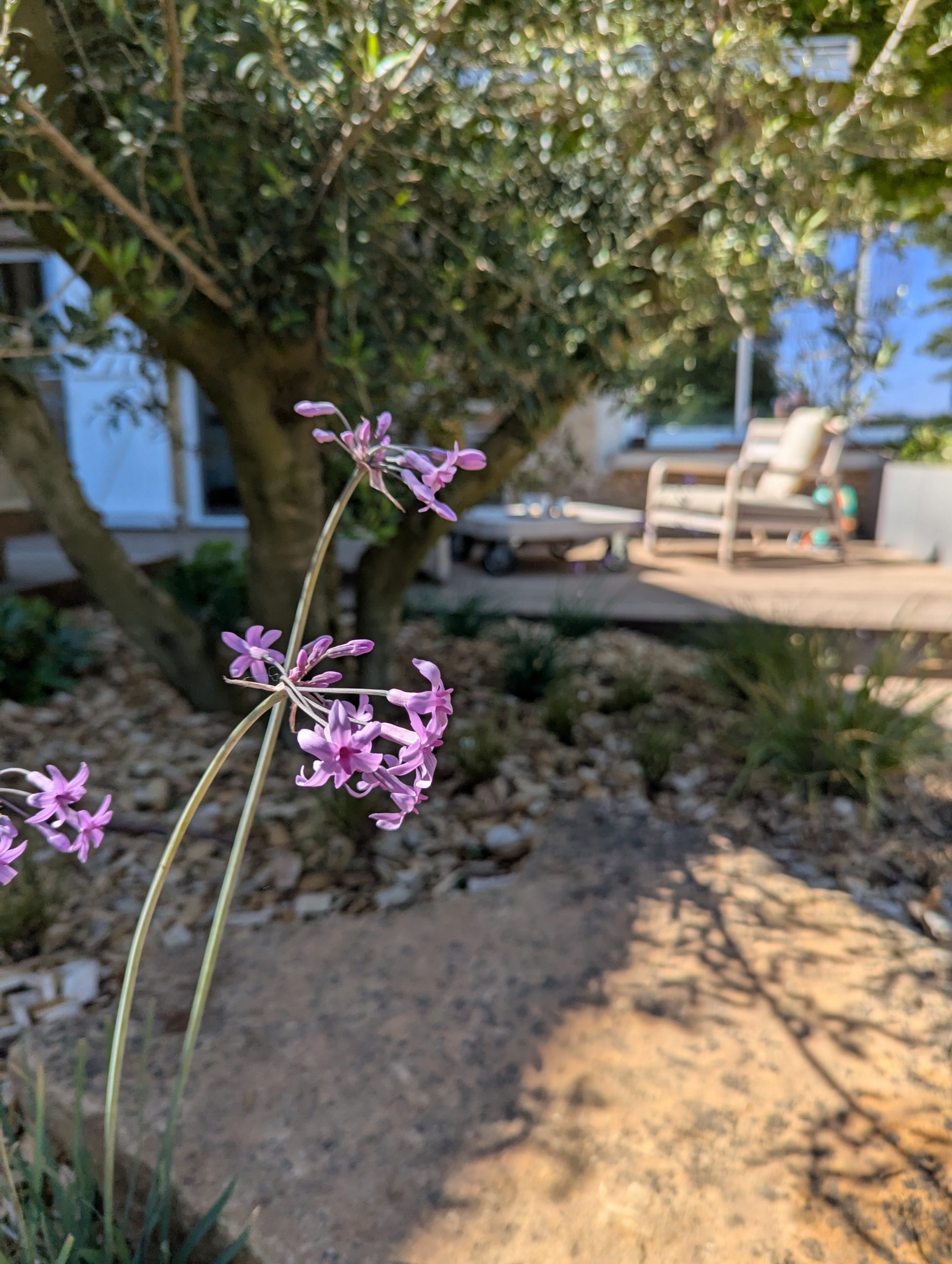 Décris l’image 6 (matières, usage, ambiance)