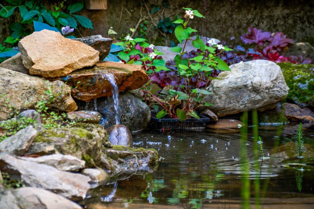 Petit bassin paysager avec cascade de pierres et végétation