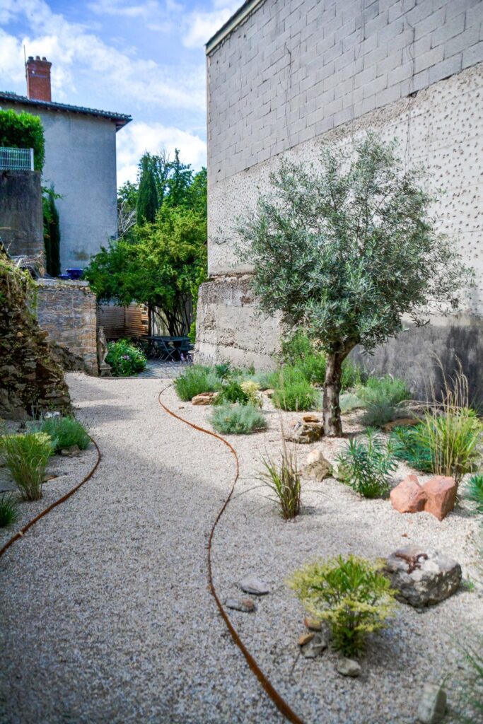 Olivier au centre d’un jardin de gravier entouré de murs anciens