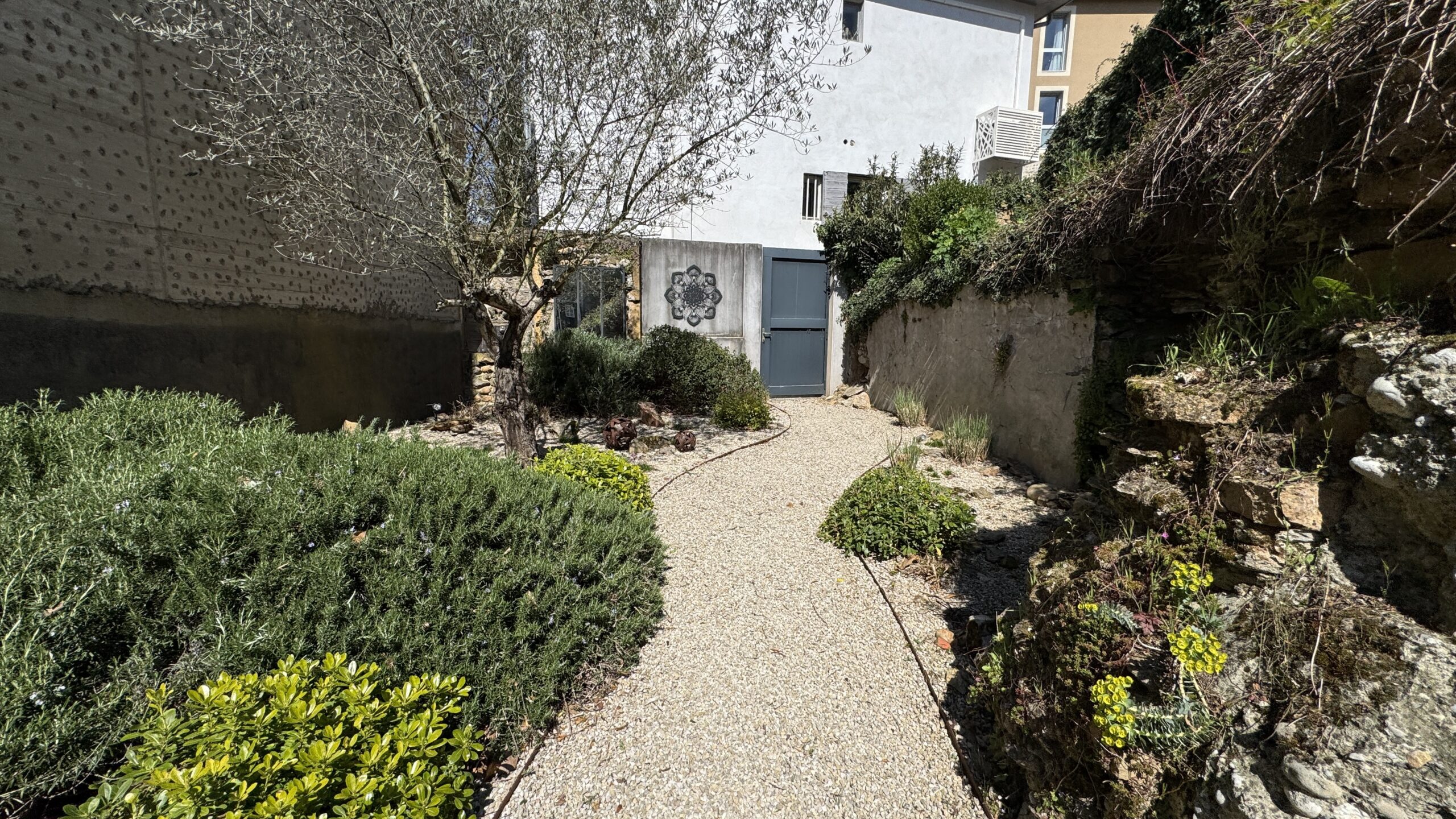 Jardin paysager avec bassin, terrasse et plantations