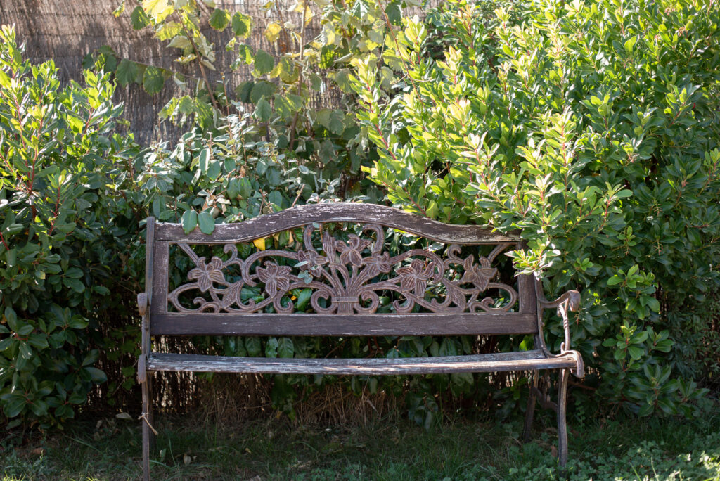 Banc de jardin entouré de plantations