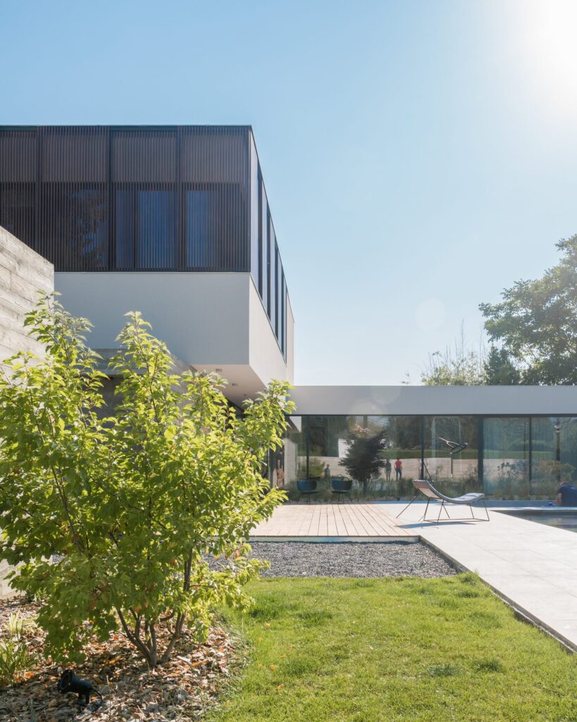 Jeune arbre fruitier au premier plan d’une maison contemporaine